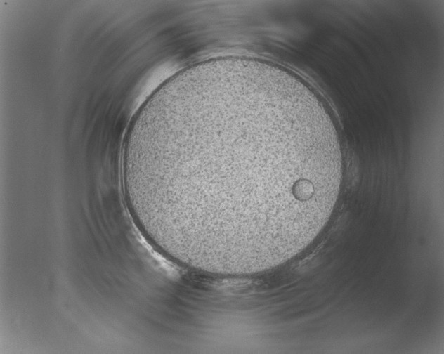 X0000076091290200610202056