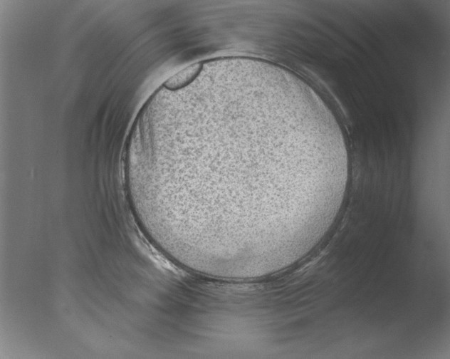 X0000076091292200610202056