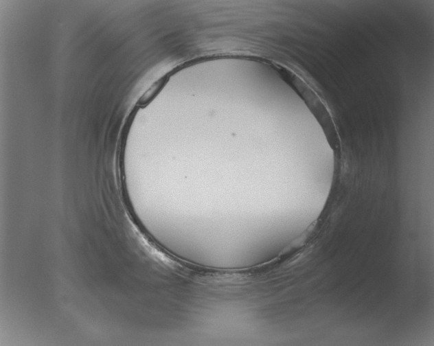 X0000076091293200610202056