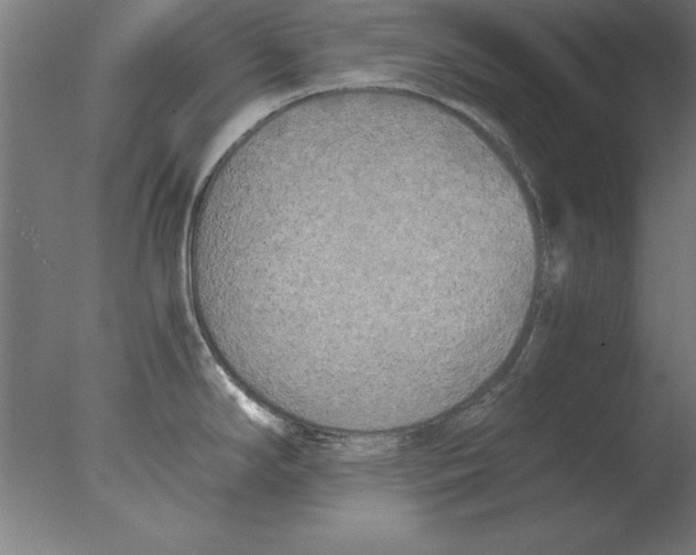 X0000076091294200610202056