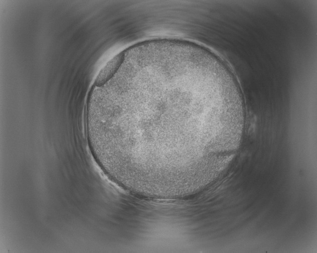 X0000076091295200610202056