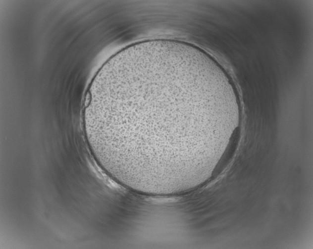 X0000076091296200610202056