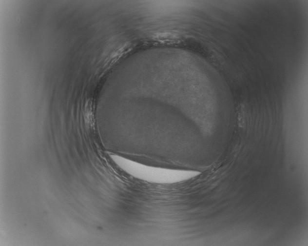 X0000076091298200610202055