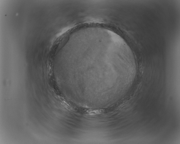 X0000076091303200610202056