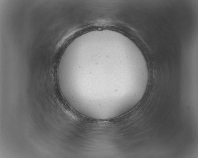 X0000076091304200610202056