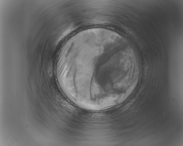 X0000076091306200610202056