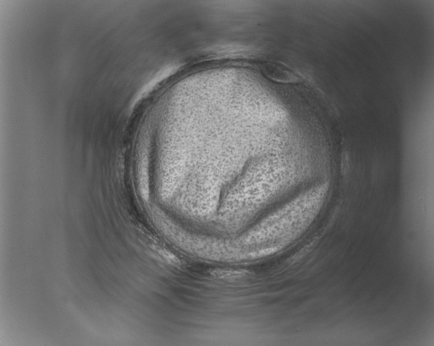 X0000076091309200610202056