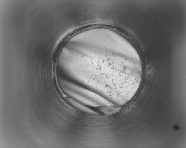 X0000076091310200610202056