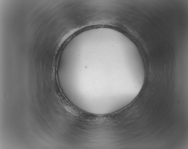 X0000076091316200610202056