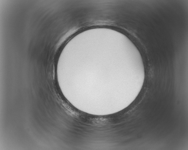 X0000076091317200610202056