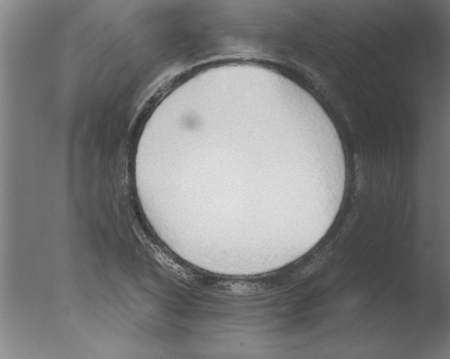 X0000076091318200610202056