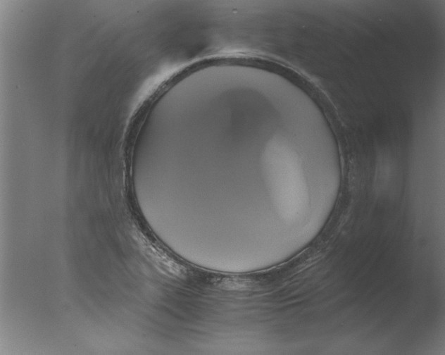 X0000076091319200610202056