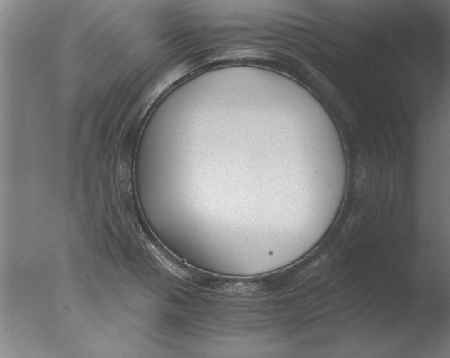 X0000076091321200610202056