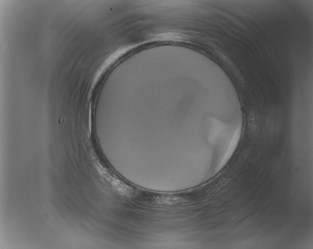 X0000076091323200610202056