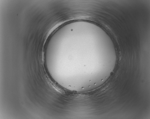 X0000076091324200610202056