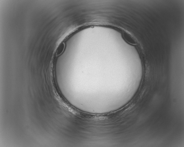 X0000076091325200610202056