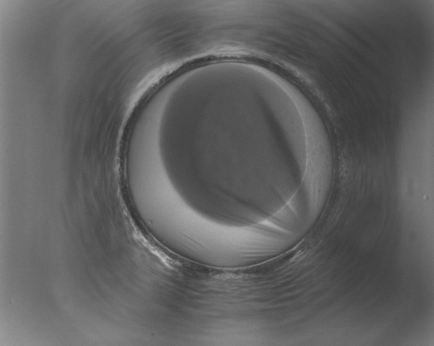 X0000076091327200610202056