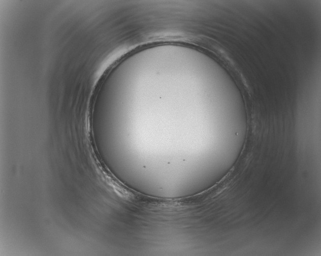 X0000076091328200610202056