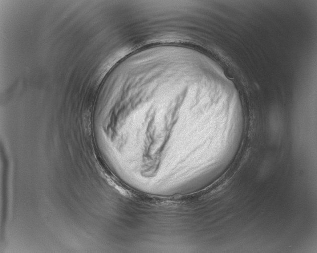 X0000076091329200610202056