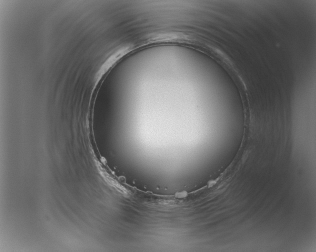 X0000076091330200610202056