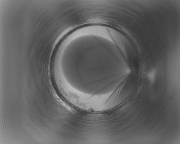 X0000076091331200610202056