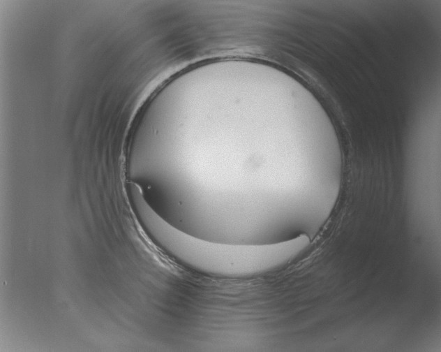 X0000076091332200610202056