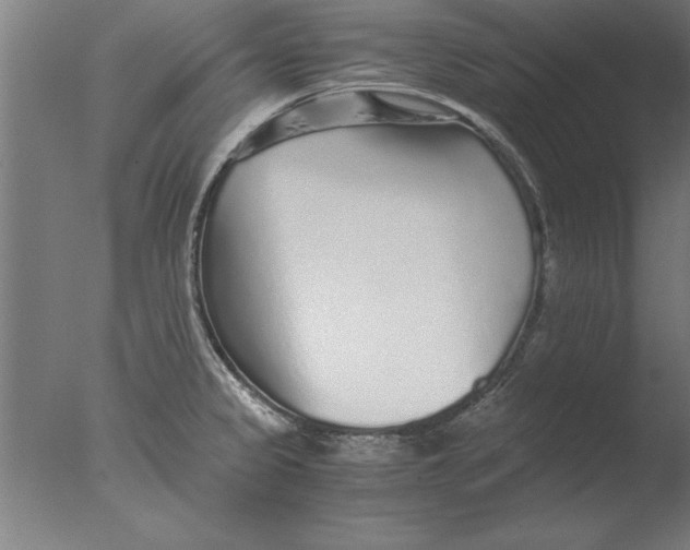 X0000076091333200610202056