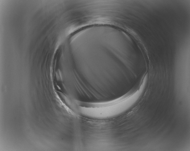 X0000076091334200610202056