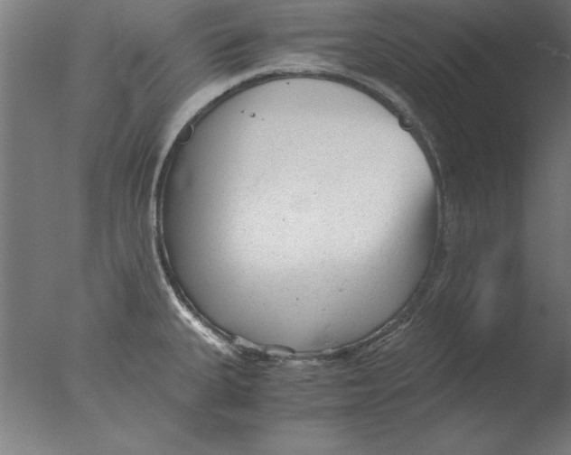 X0000076091335200610202056