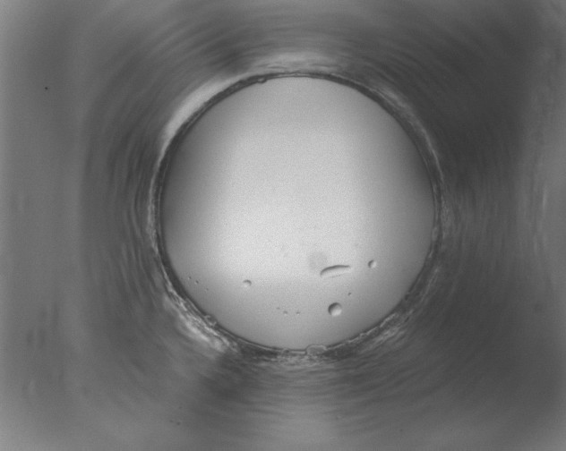 X0000076091336200610202056