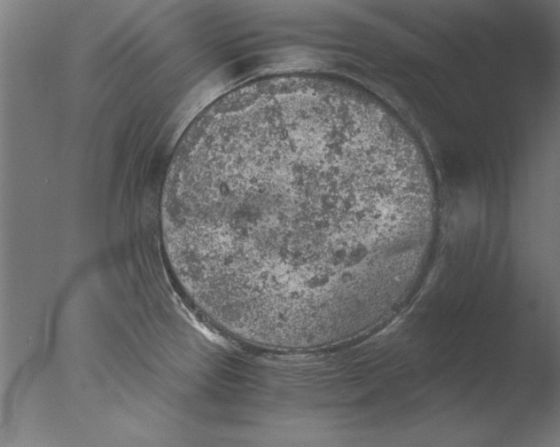 X0000076091337200610202056