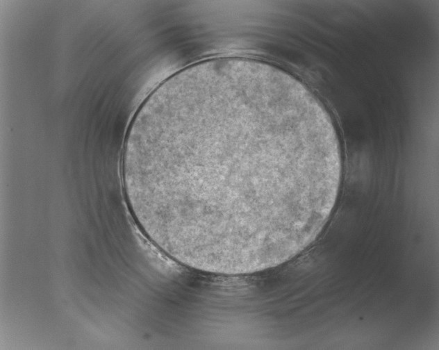 X0000076091338200610202056