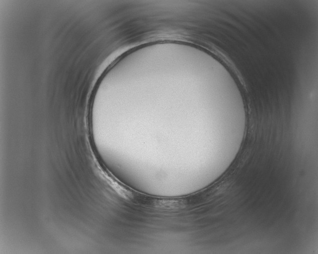 X0000076091339200610202056