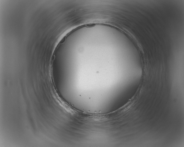 X0000076091340200610202056