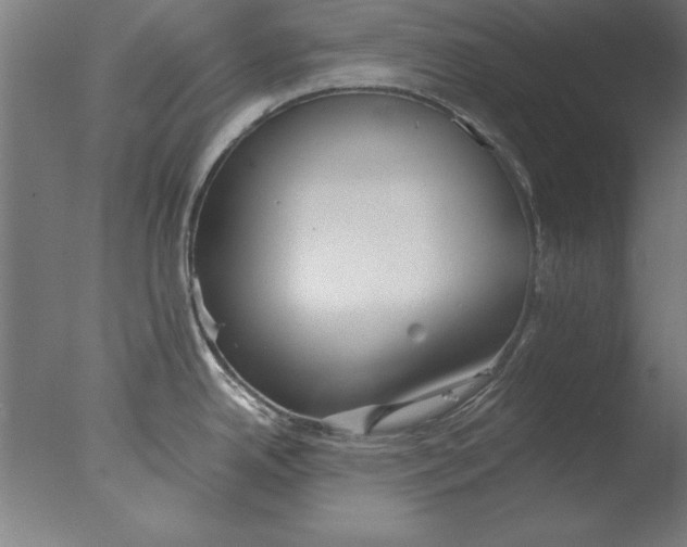 X0000076091342200610202056