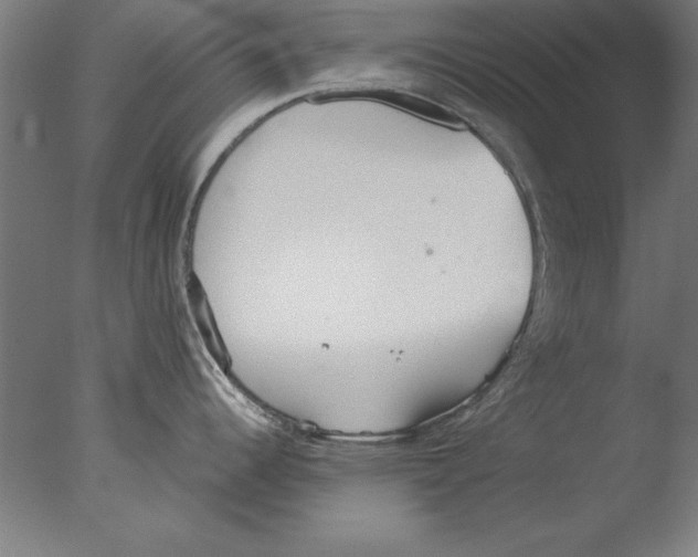 X0000076091344200610202056