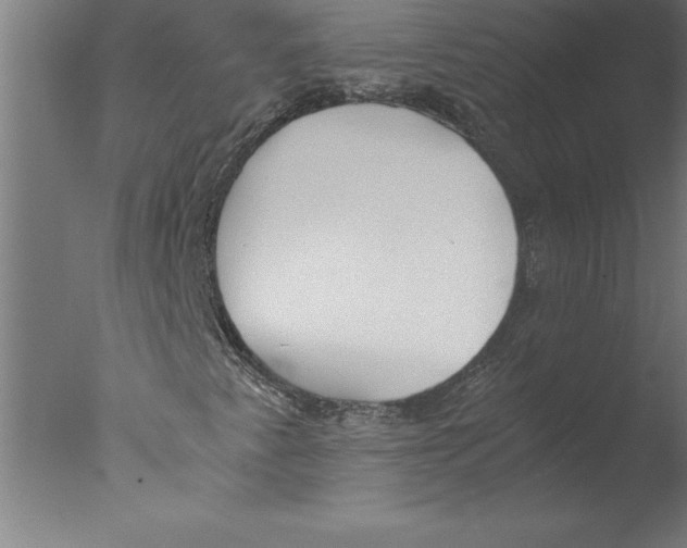 X0000076091345200610202055