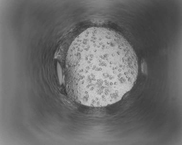 X0000076091347200610202055