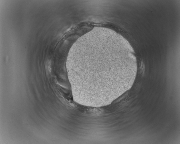 X0000076091348200610202055