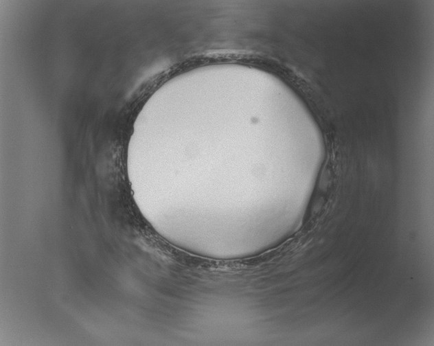 X0000076091351200610202055