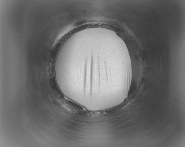 X0000076091352200610202055