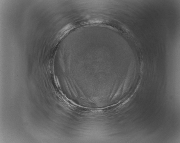 X0000076091353200610202055