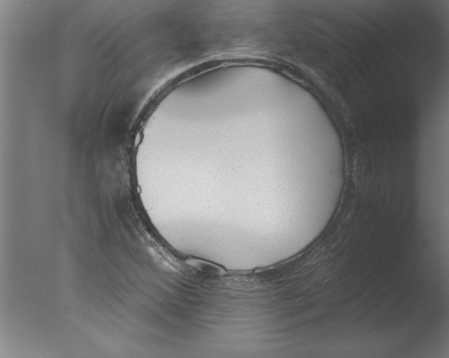 X0000076091356200610202055