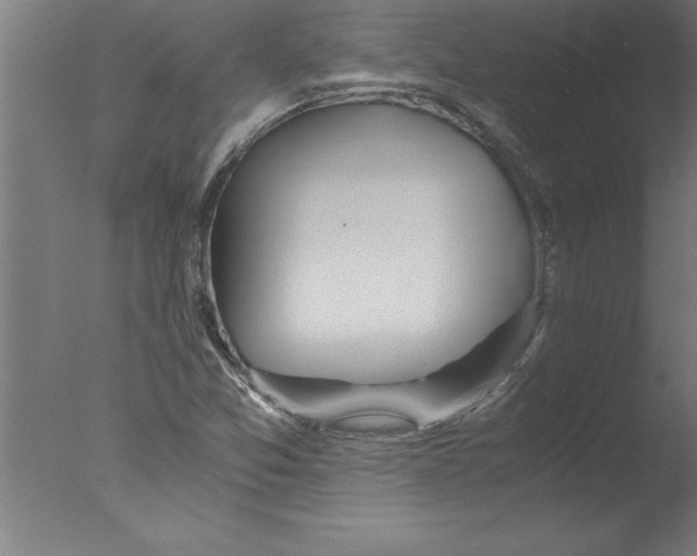 X0000076091357200610202055