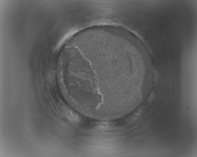 X0000076091359200610202055