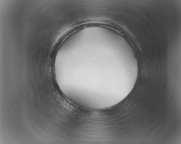 X0000076091360200610202055