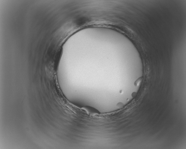 X0000076091361200610202055