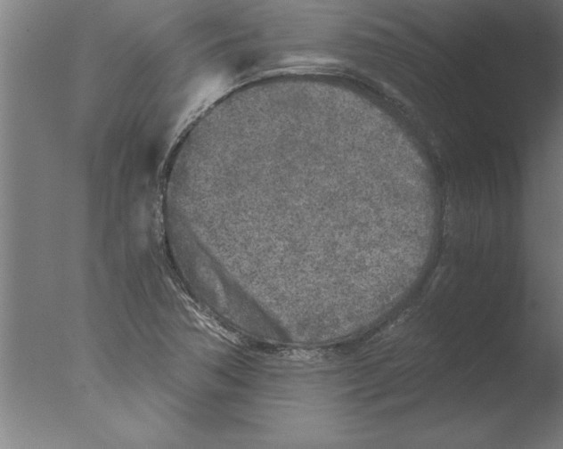 X0000076091362200610202055