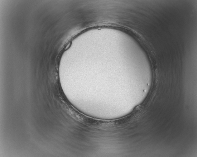 X0000076091363200610202055