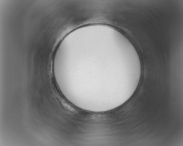 X0000076091366200610202055